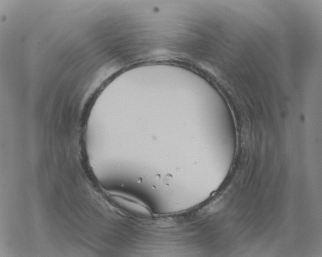 X0000068731410200605262014