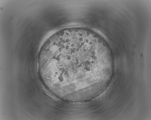 X0000068731413200605262014