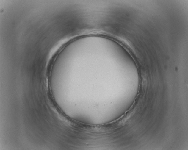 X0000068731414200605262014