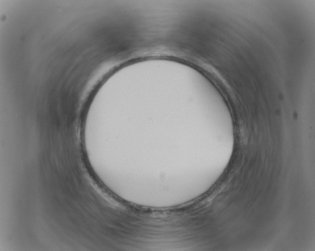 X0000068731416200605262014