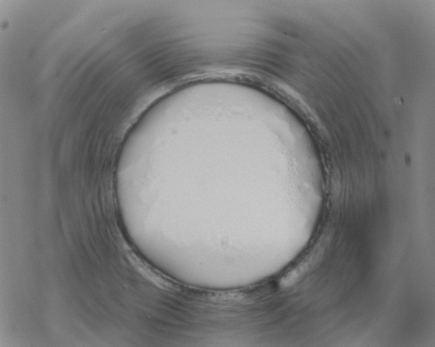 X0000068731417200605262014