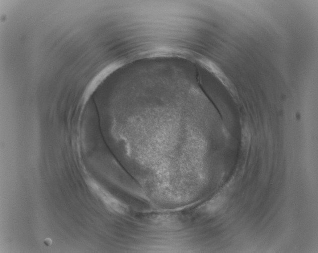 X0000068731418200605262014