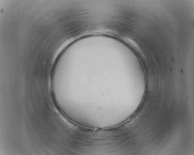 X0000068731420200605262014