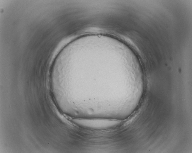 X0000068731421200605262014