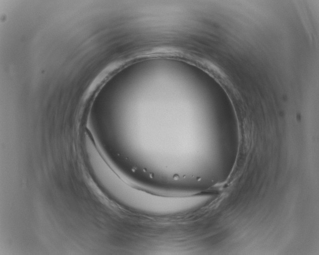 X0000068731422200605262014