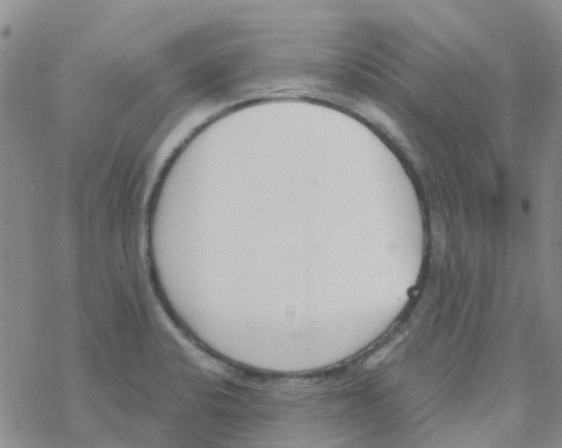 X0000068731424200605262014