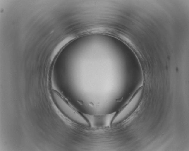 X0000068731426200605262014