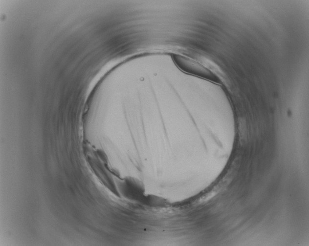 X0000068731428200605262014