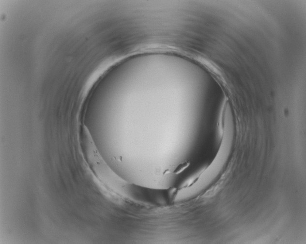 X0000068731430200605262014