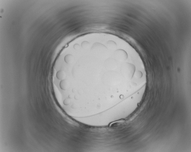 X0000068731432200605262014