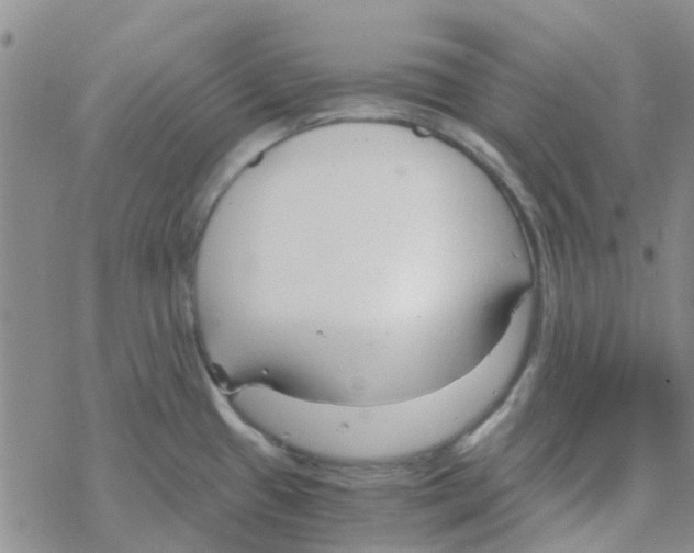 X0000068731433200605262014