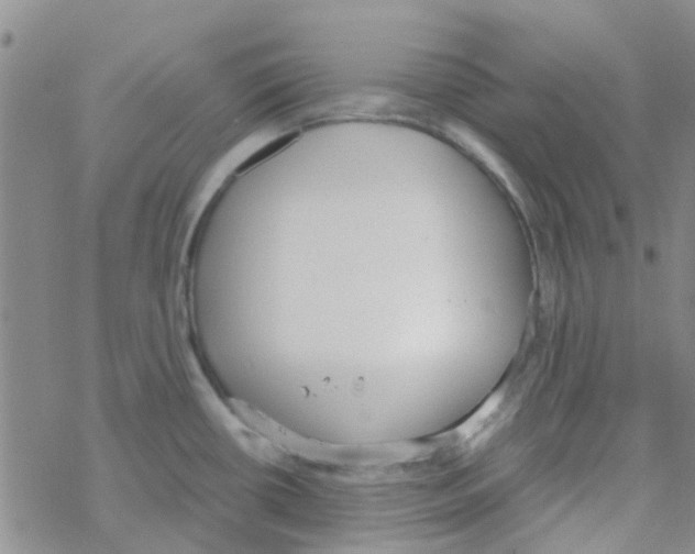 X0000068731434200605262014