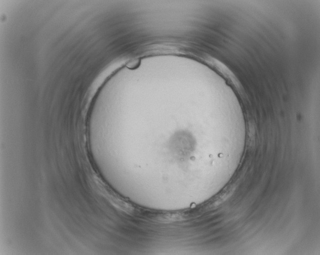 X0000068731435200605262014