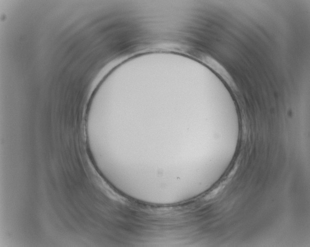 X0000068731436200605262014