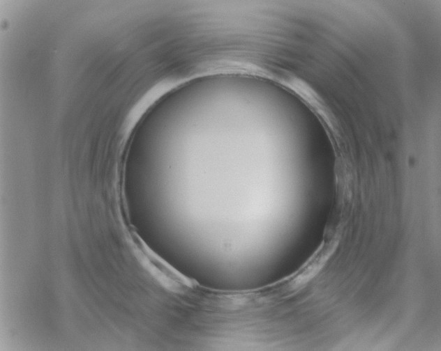 X0000068731438200605262015