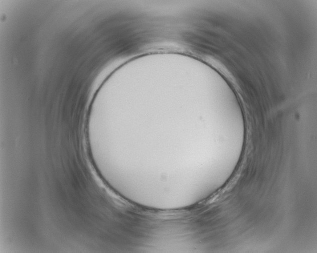 X0000068731440200605262015