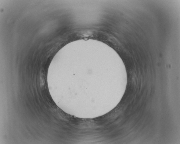 X0000068731442200605262014