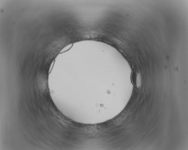 X0000068731444200605262014