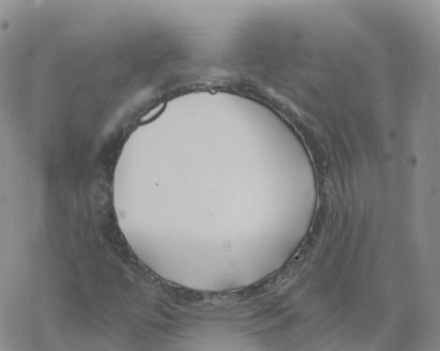 X0000068731447200605262014