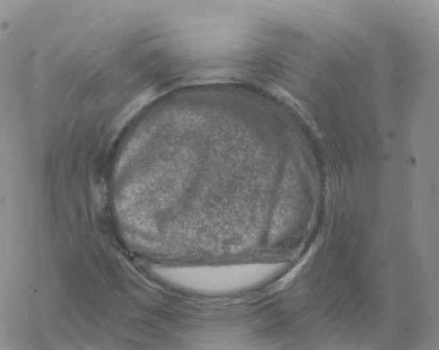 X0000068731449200605262014