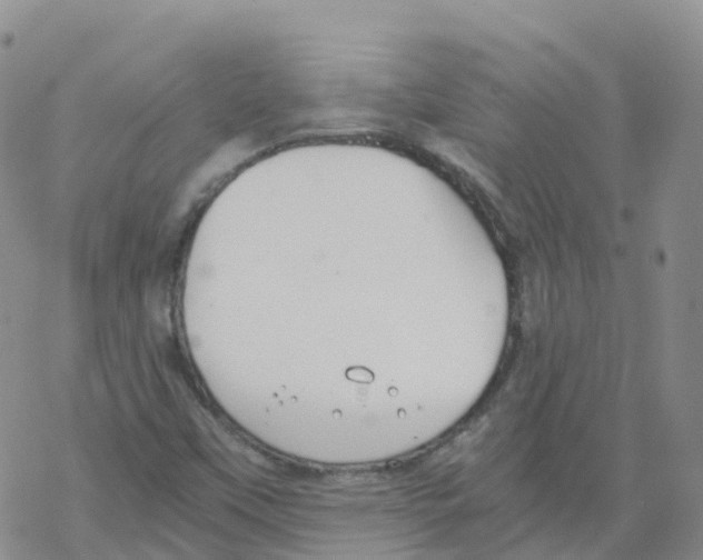 X0000068731451200605262014