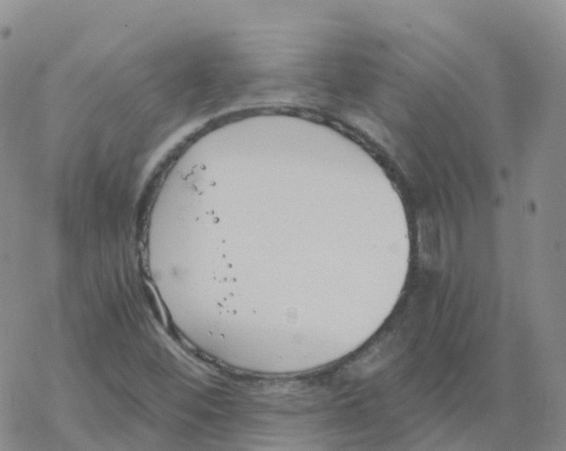 X0000068731452200605262014