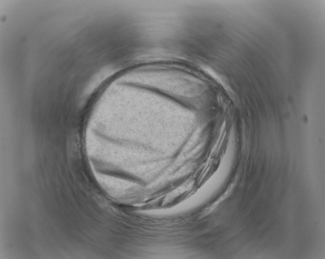 X0000068731453200605262014