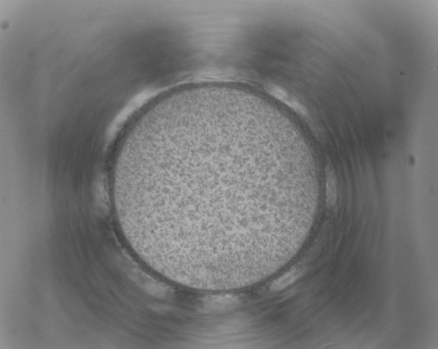 X0000068731454200605262014