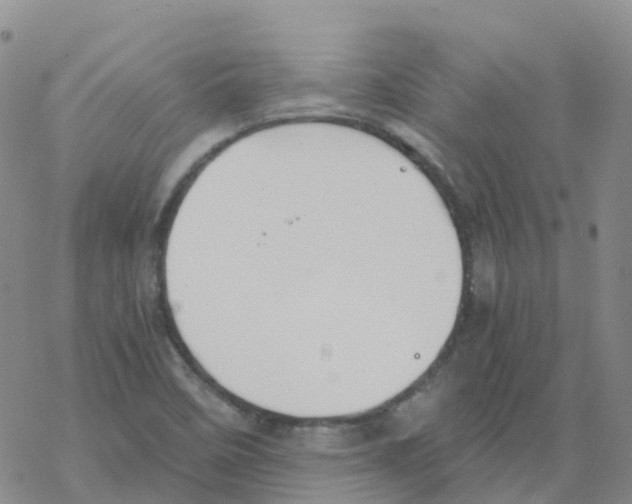 X0000068731458200605262013