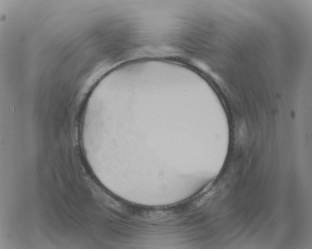 X0000068731459200605262013