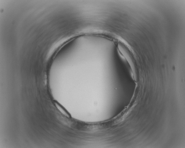 X0000068731461200605262013