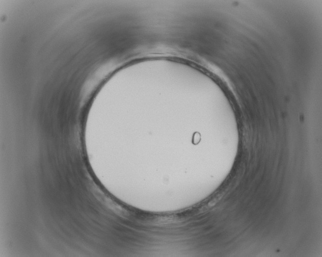 X0000068731464200605262013