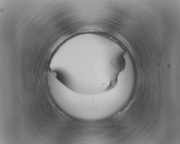 X0000068731465200605262013