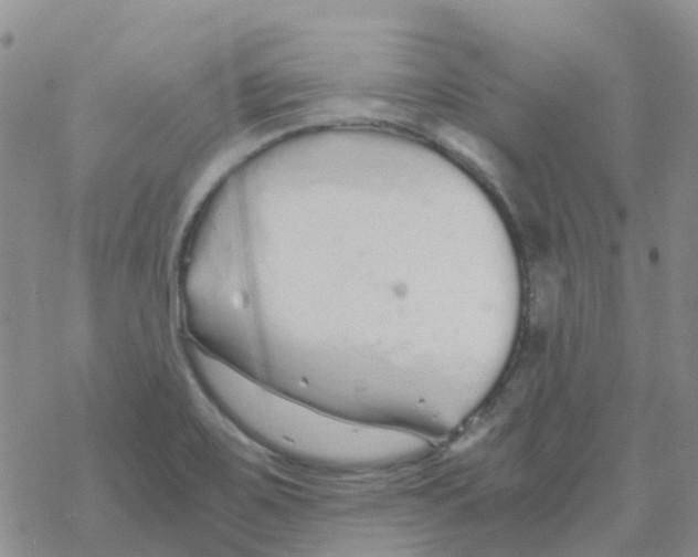 X0000068731467200605262013