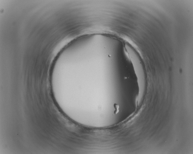 X0000068731469200605262013