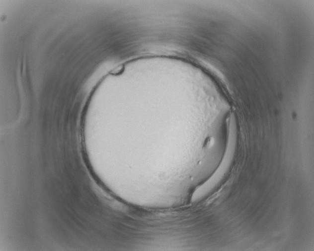 X0000068731471200605262013