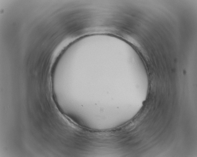 X0000068731472200605262013