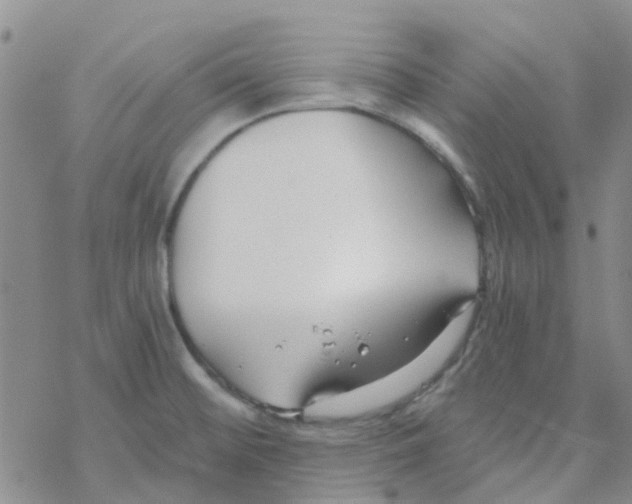 X0000068731476200605262013