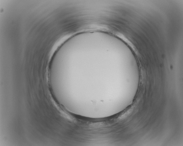 X0000068731477200605262013