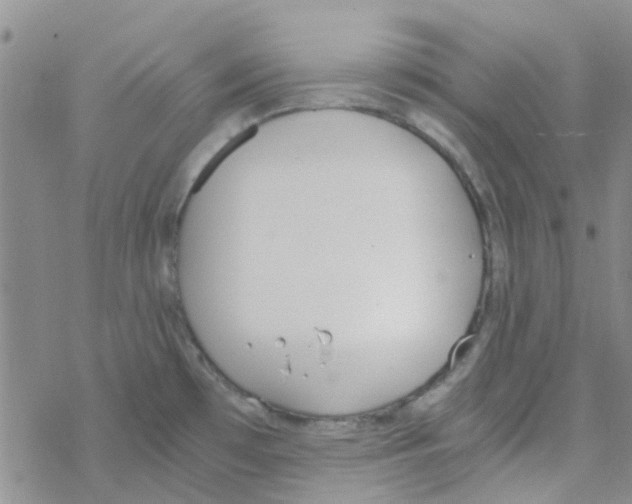 X0000068731481200605262013