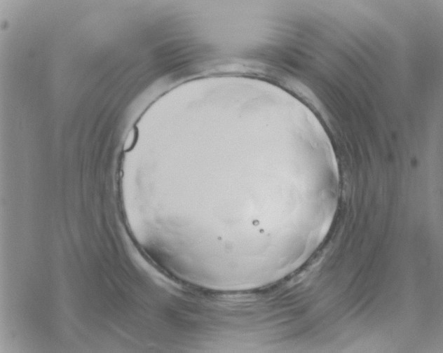 X0000068731483200605262013