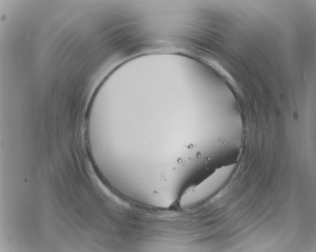 X0000068731484200605262013