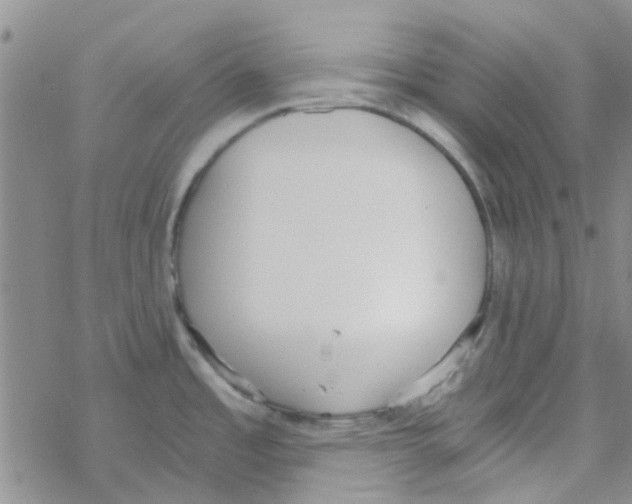 X0000068731485200605262013