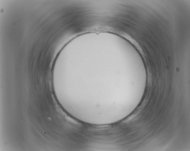 X0000068731486200605262013