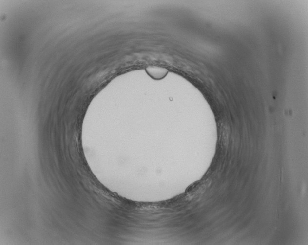 X0000068731489200605262012