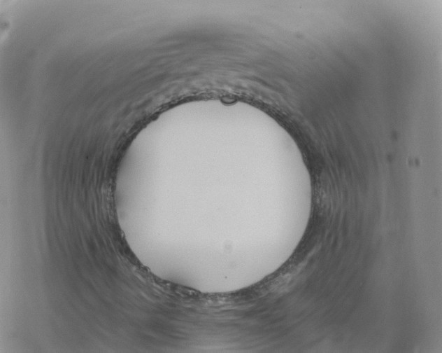 X0000068731490200605262012