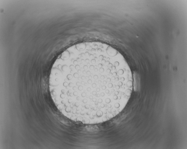 X0000068731491200605262012