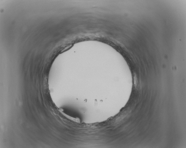 X0000068731492200605262012