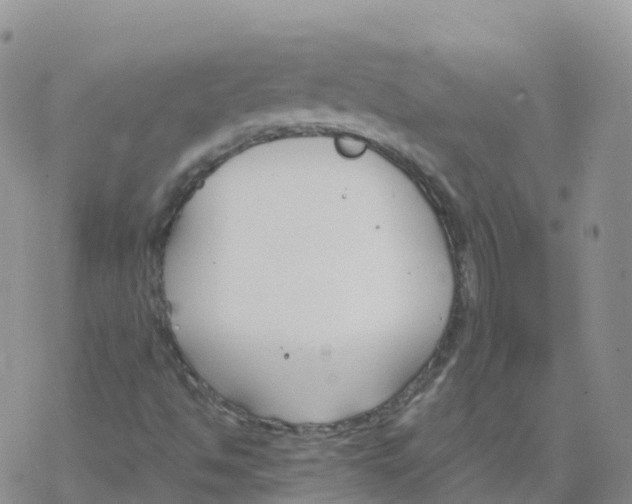 X0000068731494200605262012