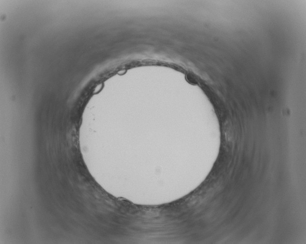 X0000068731495200605262012